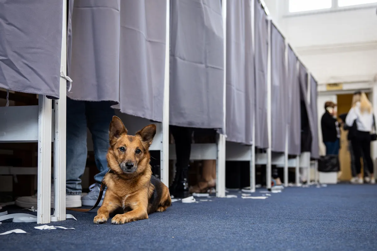 Átjelentkező szavazók Választás.2026