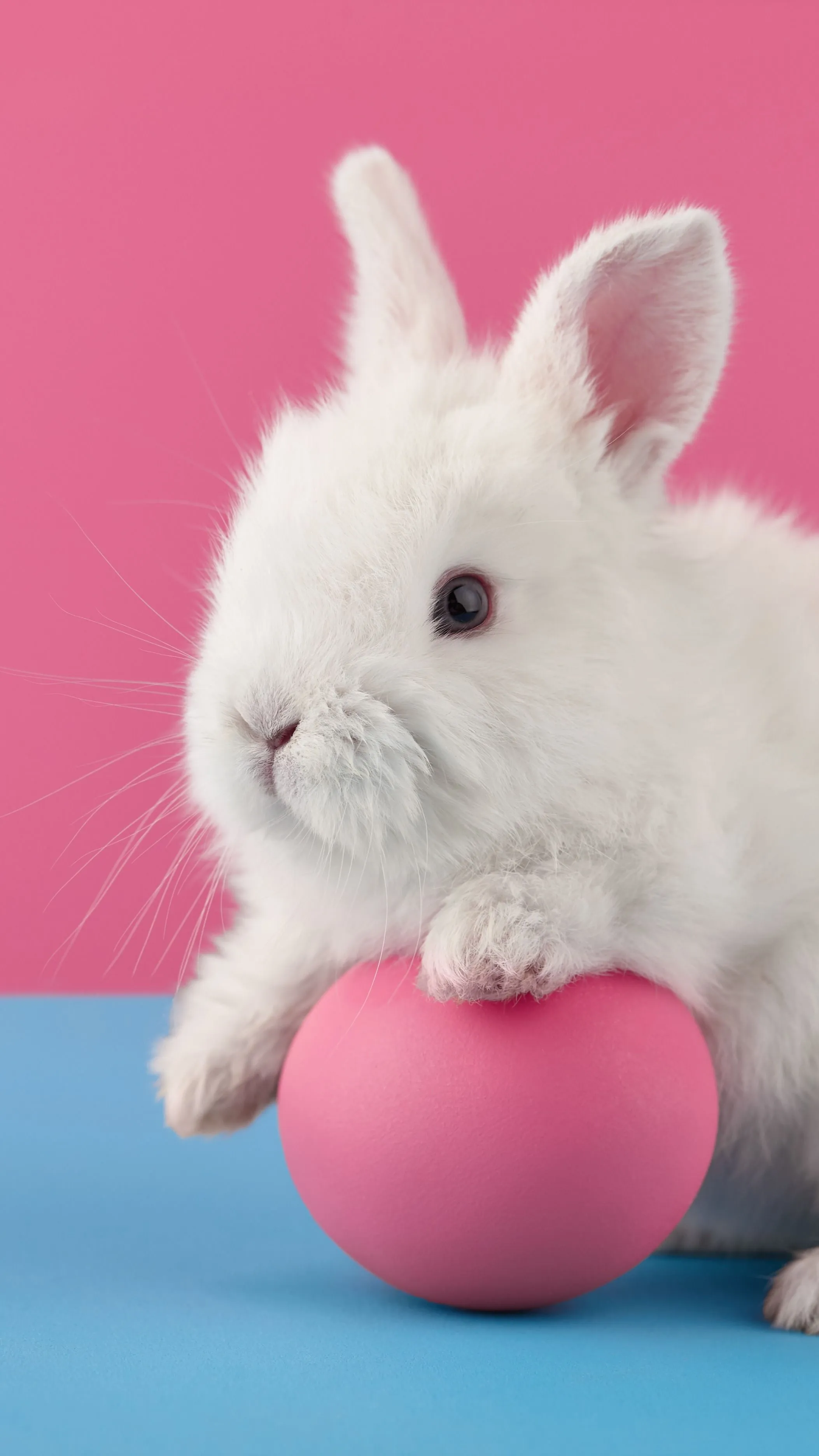 Íme a TOP5 horrornyuszi a múltból!