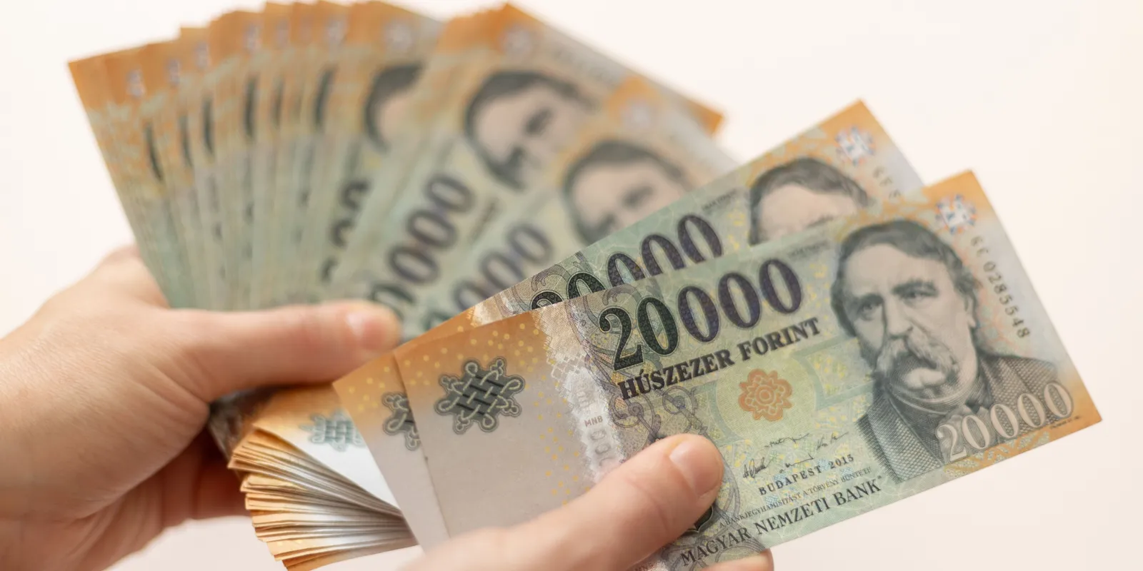 17 milliót lopott el mozgáskorlátozott anyjától egy nő