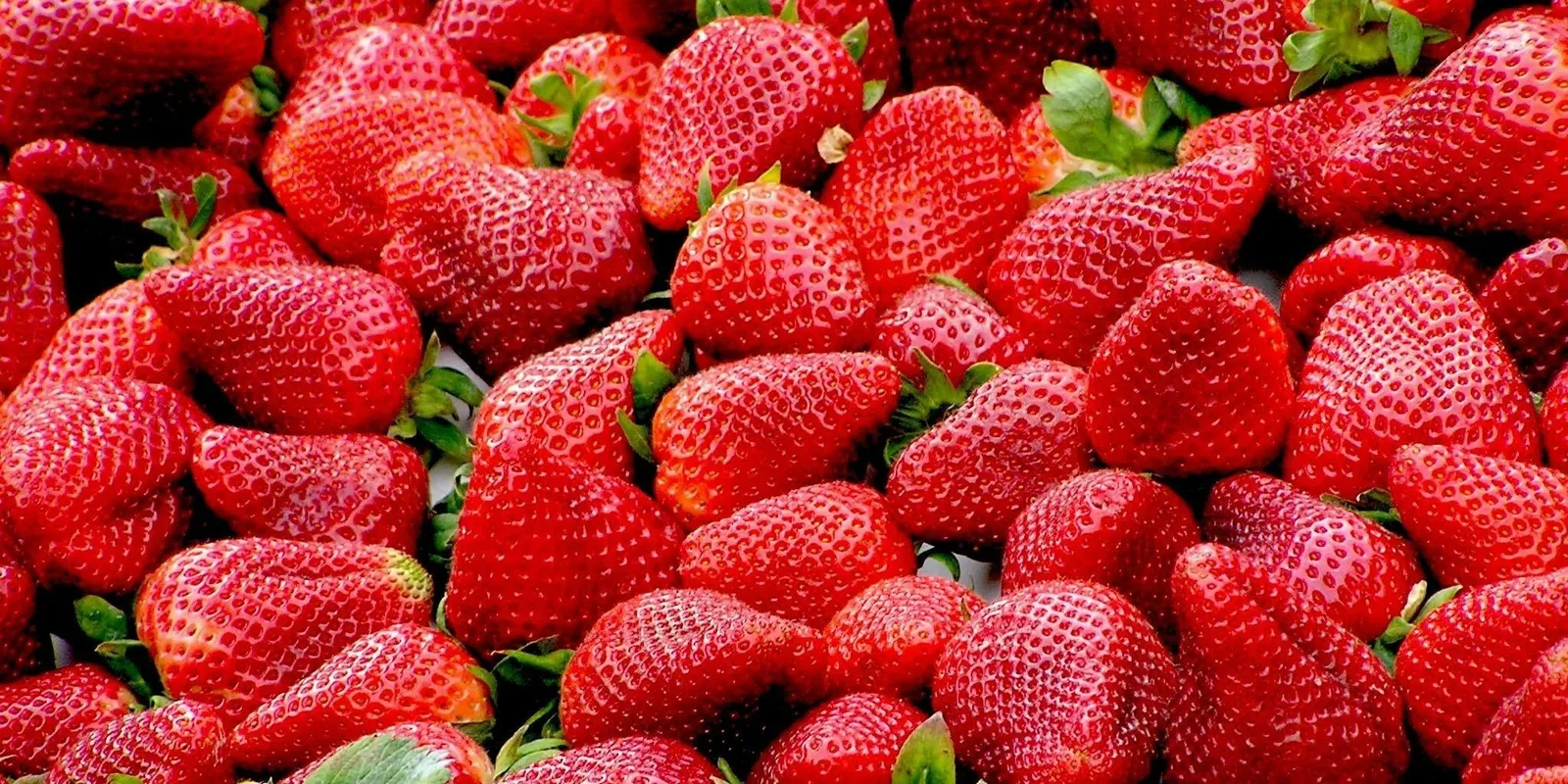 Tudtad? Így marad hosszú ideig friss az eper