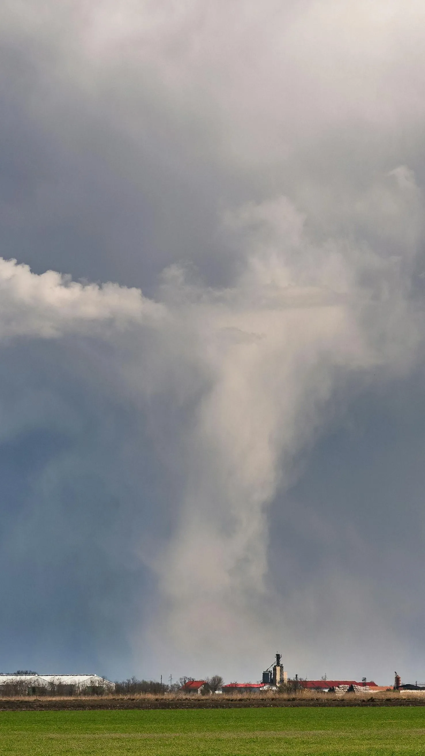 Porördögöket videóztak Magyarországon, egyre gyakoribb a jelenség