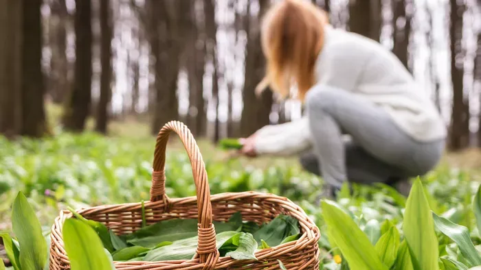 Ez a legegészségesebb zöldség márciusban, te már kóstoltad?