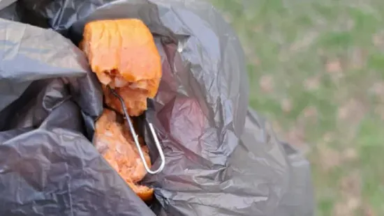 Lincshangulat Dunaújvárosban: „Le kellene nyomni a kínzó torkán!”