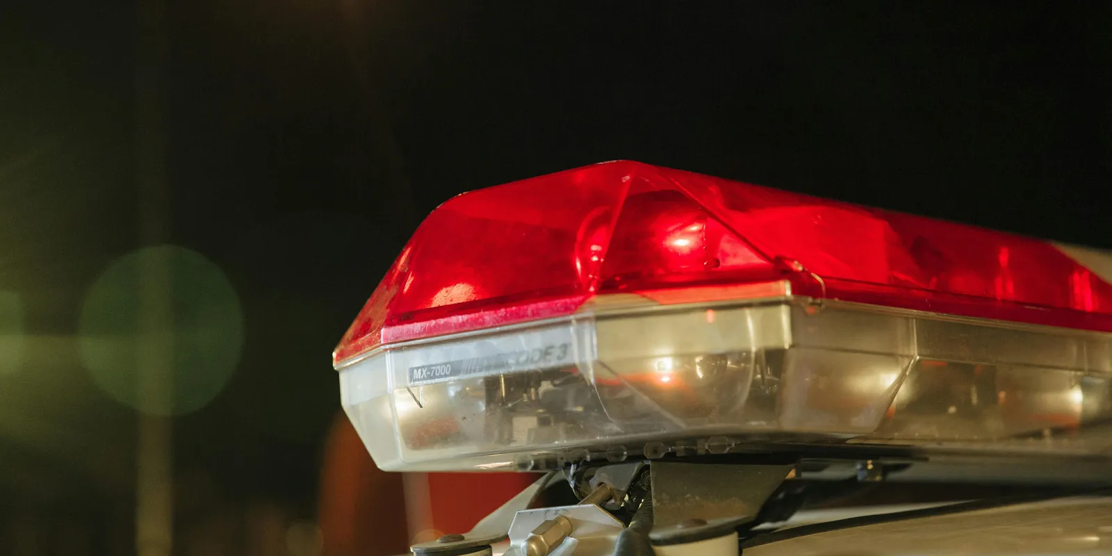 30 tő kannabisz a lakásban – Kommandósok vártás a pécsi dílert