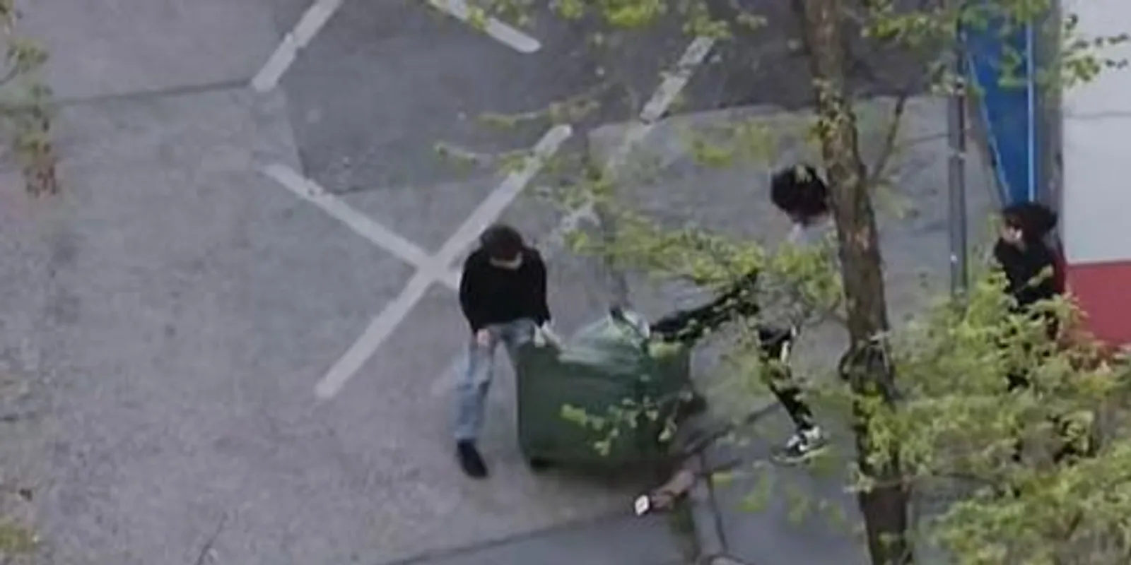 Kukákat vertek szét szórakozásból a gyerekek Albertfalván