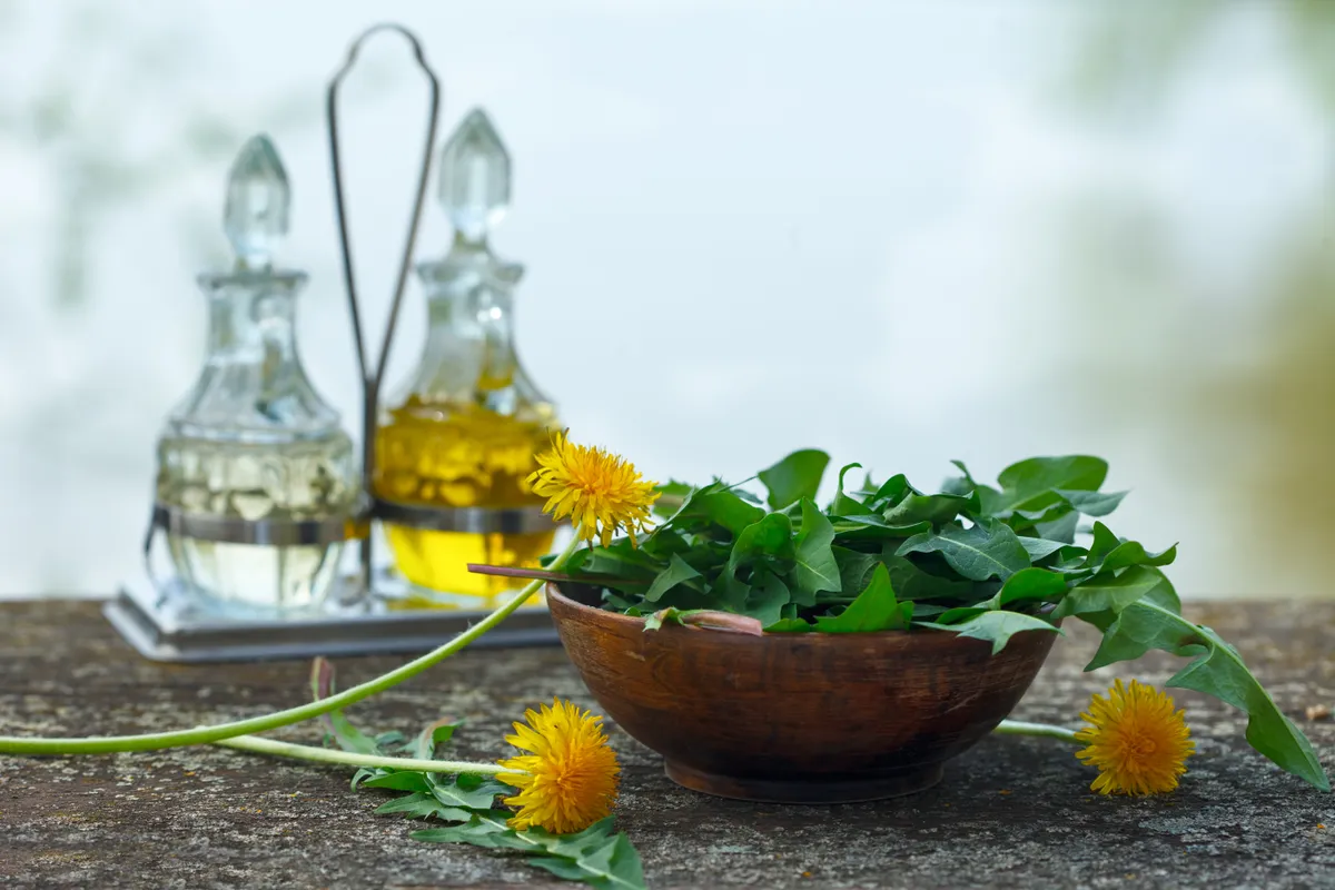 Fresh,Dandelion,Salad.,Healthy,Food.