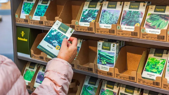 Ezt a hibát ne kövesd el, ha vetőmagot vásárolsz