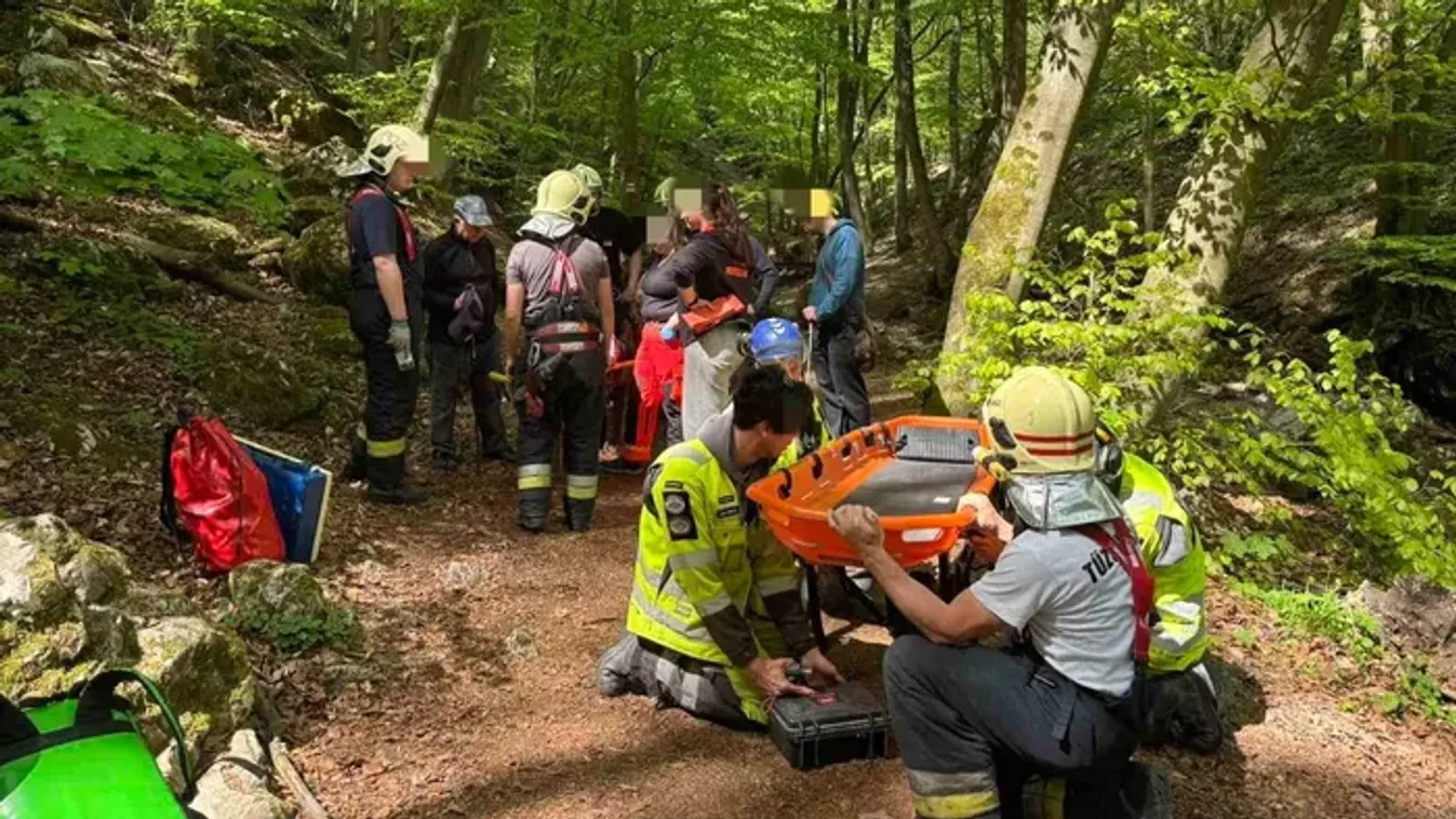 Idős asszony életét mentették meg a Pilisben – szörnyű, mi történt vele