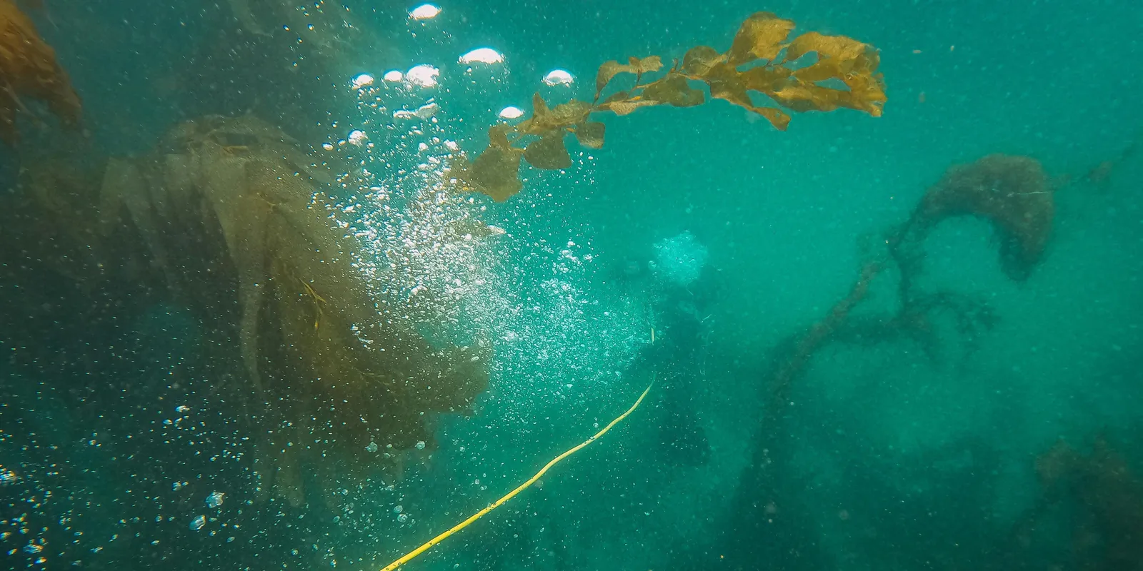 Különös arany gömböt találtak a tenger mélyén