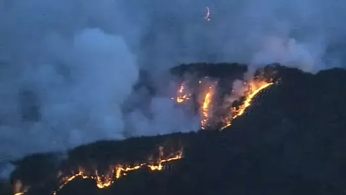 Öt napja küzdenek az erdőtüzek megfékezésével a tűzoltók