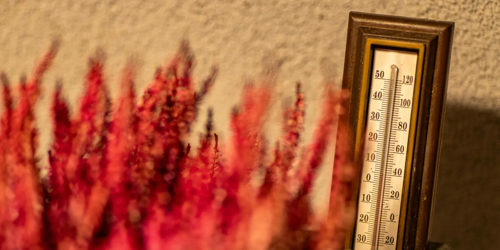 Időjárás: Visszatér a fagy, mínuszok lesznek az éjjel