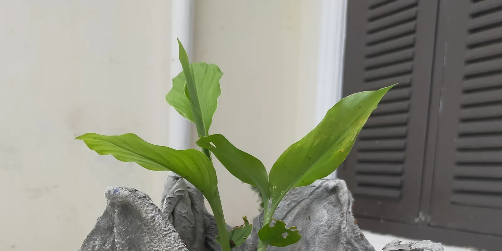 Kerti trükk: így készül törölközőből a kaspó