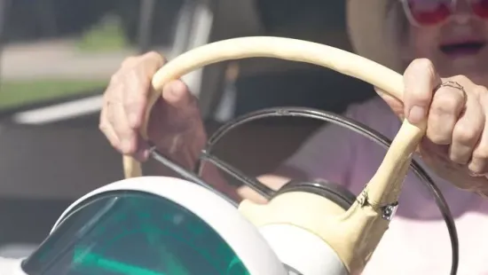 Franciaország: 228 km/órás tempóval "gyorshajtott" egy 92 éves néni