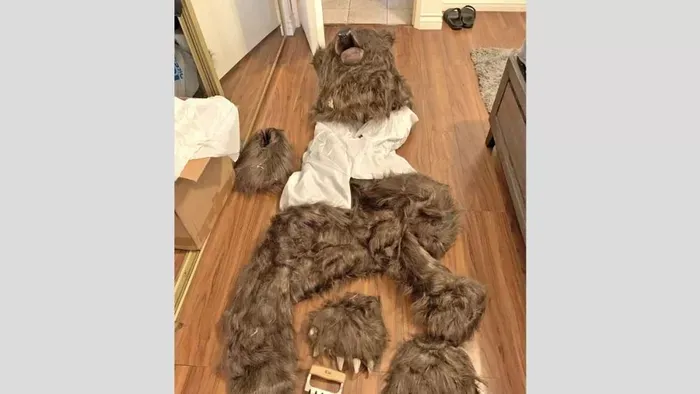 Medvejelmezben követett el biztosítási csalást 3 amerikai