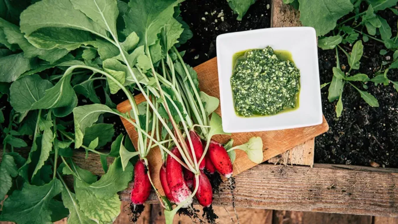 Ne dobd ki a retek levelét, eszméletlen, mire jó