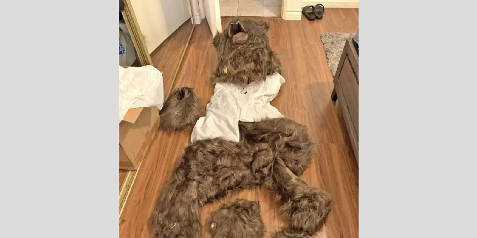 Medvejelmezben követett el biztosítási csalást 3 amerikai