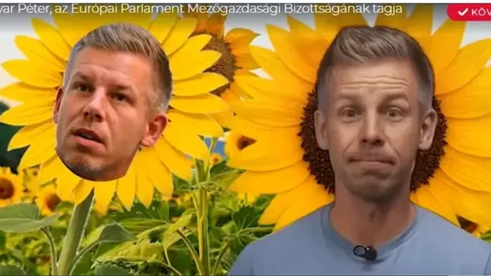 Tudatosan akarja tönkretenni a gazdálkodókat Magyar Péter