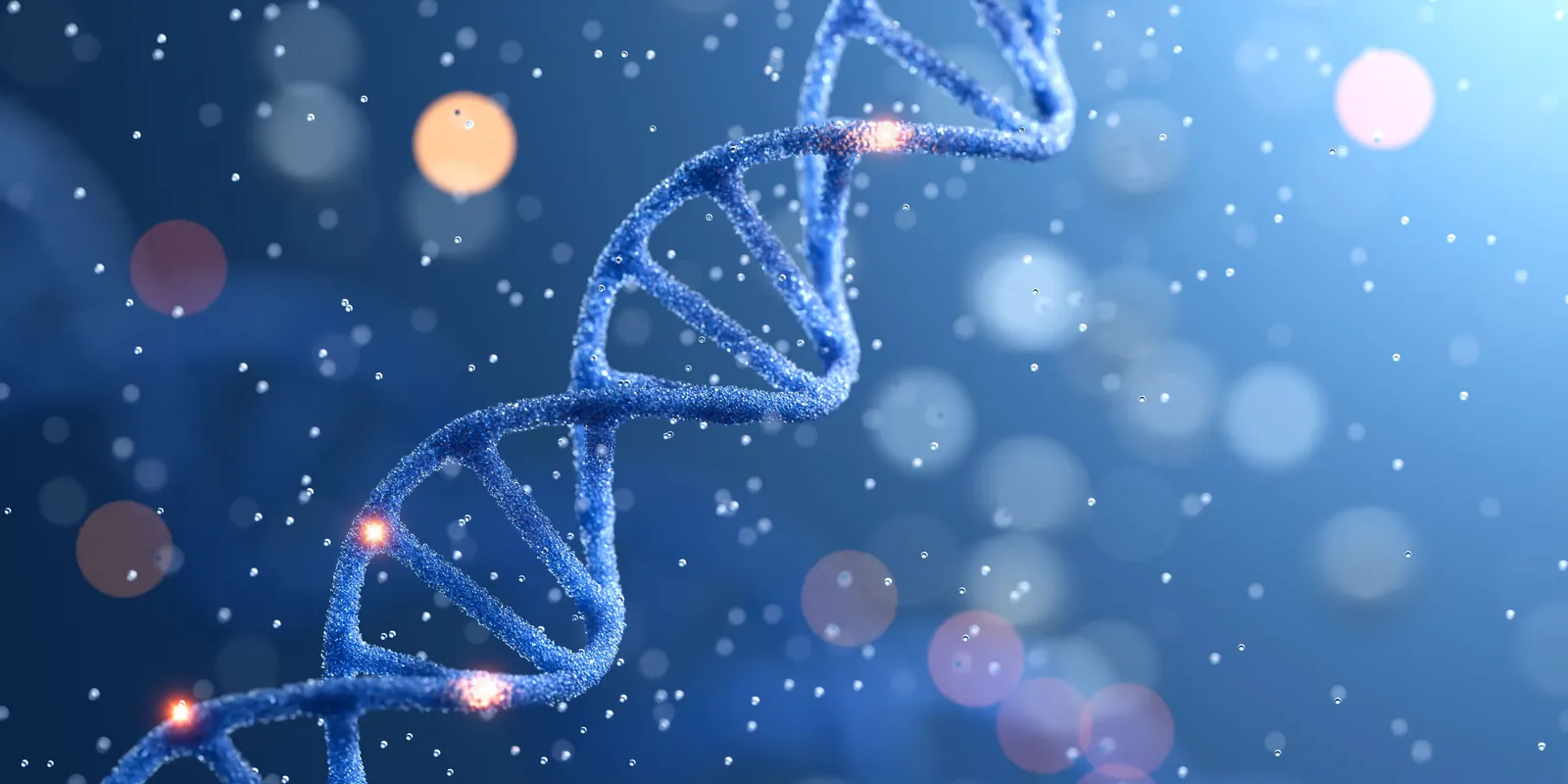 DNS-tesztet csinált, de az eredmény sokkolta