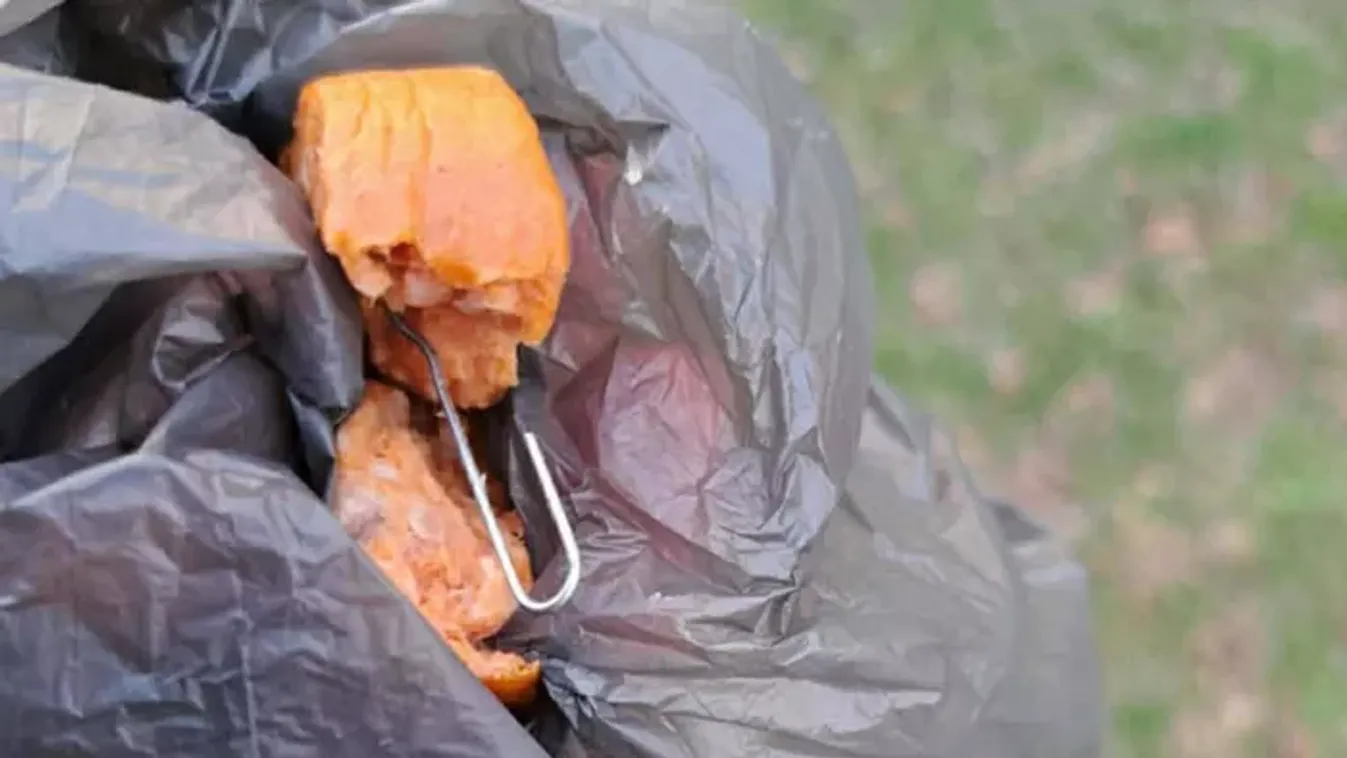 Lincshangulat Dunaújvárosban: „Le kellene nyomni a kínzó torkán!”