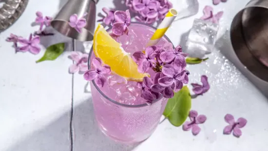 Orgonából limonádé, mutatjuk milyen egyszerűen elkészítheted