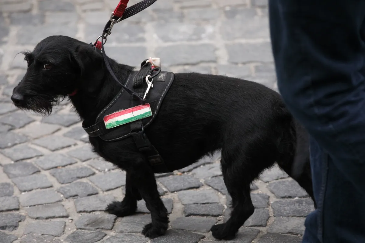 Orbán Viktor Országjárás Székesfehérvár 2026.04.10.