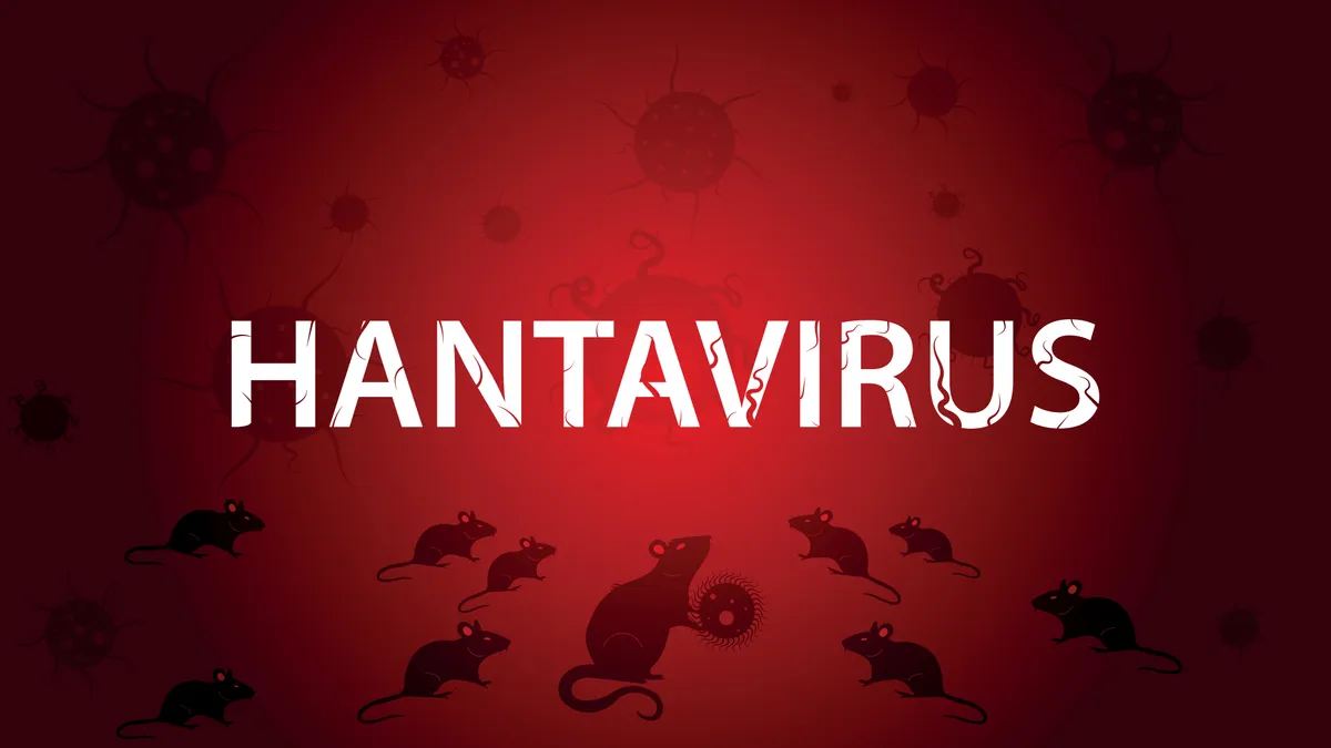 Hantavírus