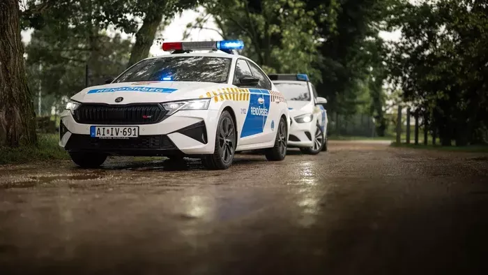 Dílerpárost fogtak a pécsi rendőrök