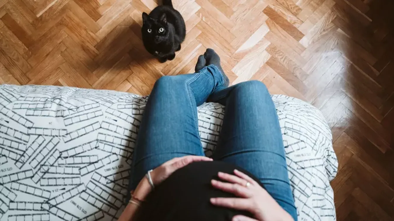 Gyermekáldást hozott a fekete macska a magyar családnak