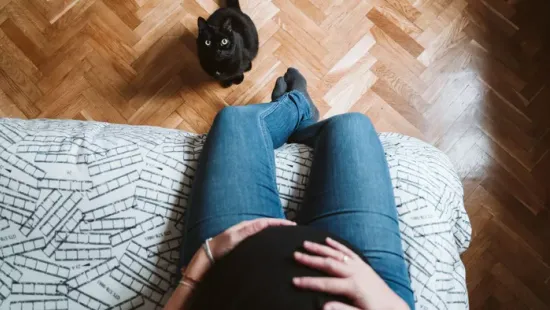 Fekete macska hozott gyermekáldást a magyar családnak: a legmegdöbbentőbb azonban csak ezután következett