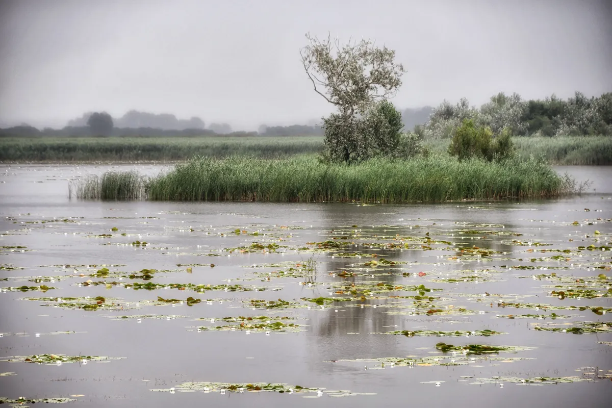 Natura 2000 nap, az izsáki Kolon-tó vizes élőhelye is bele tartozik.