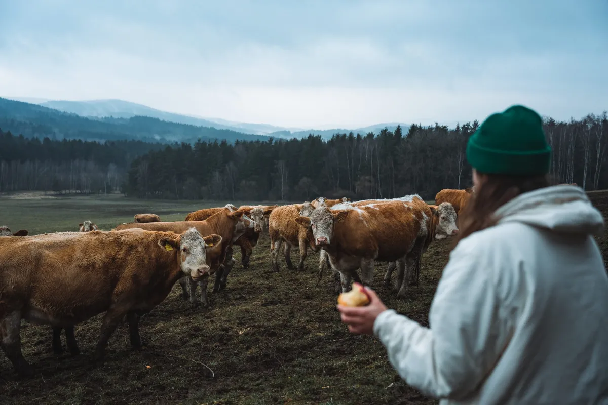 Nem érdemes egy fotóért kockáztatni az életünket 