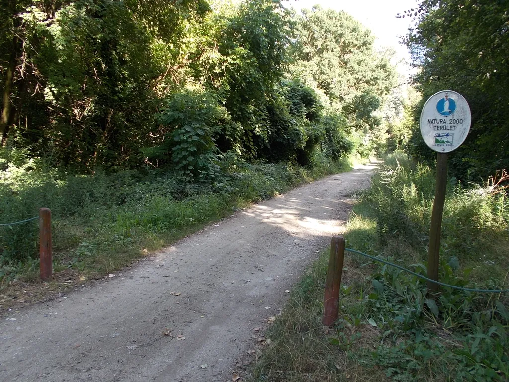 Natura 2000 nap