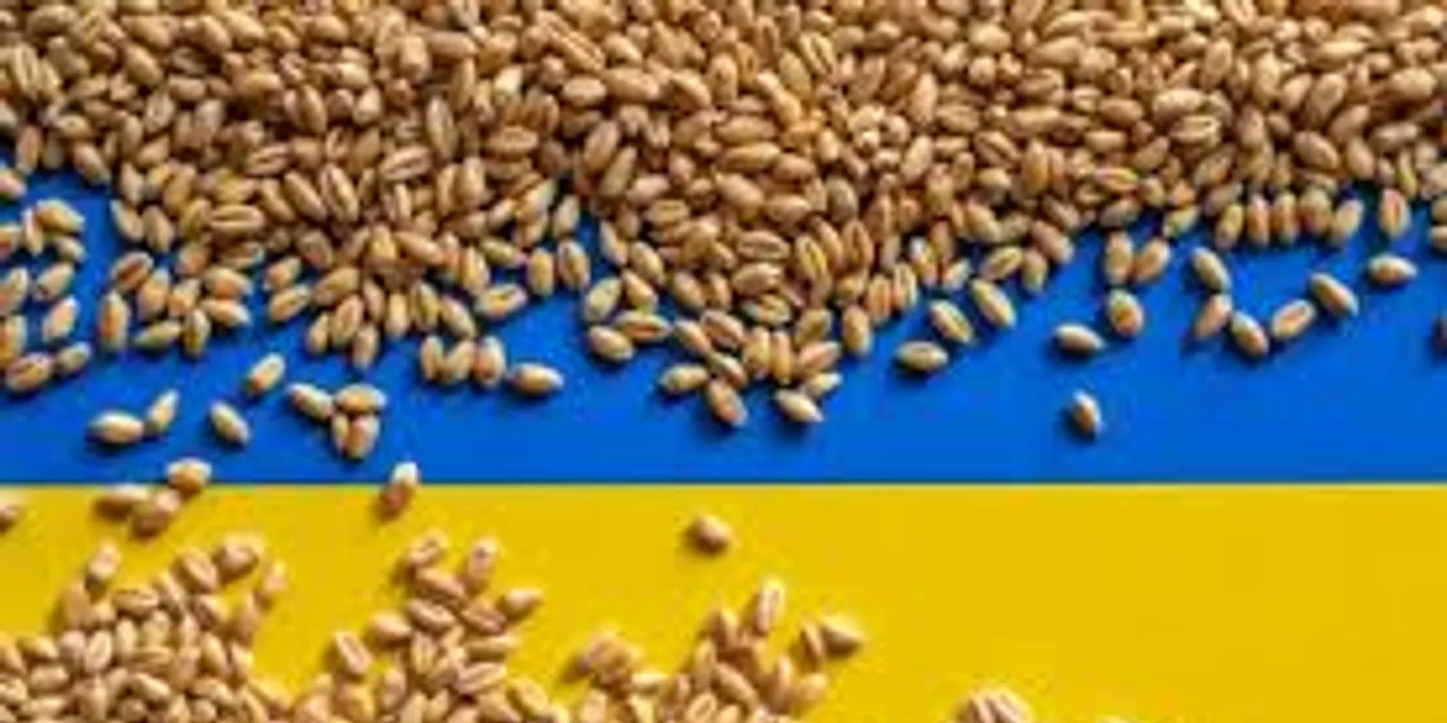 Jöhet az ukrán gabona akadálytalanul...