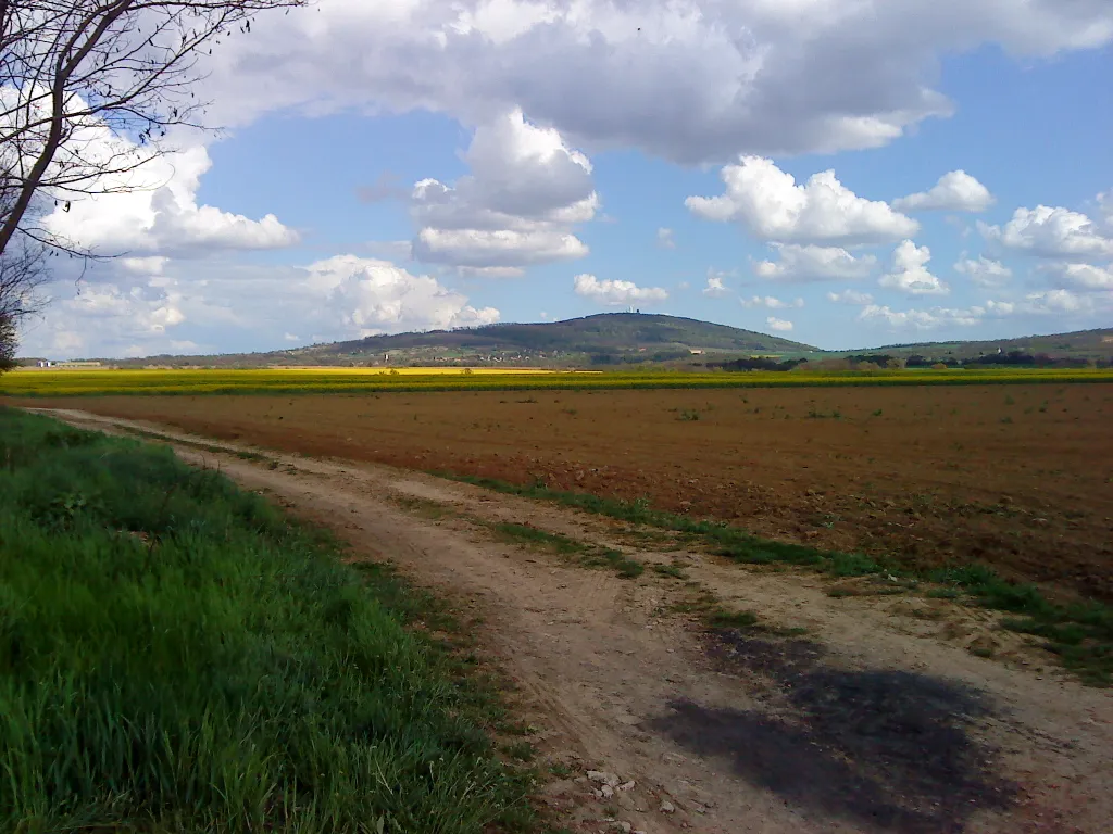 Natura 2000 nap