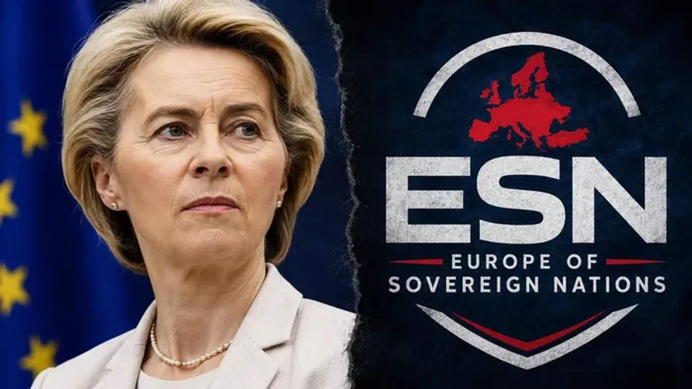 Az Európai Bizottság betiltaná az AfD pártcsaládját