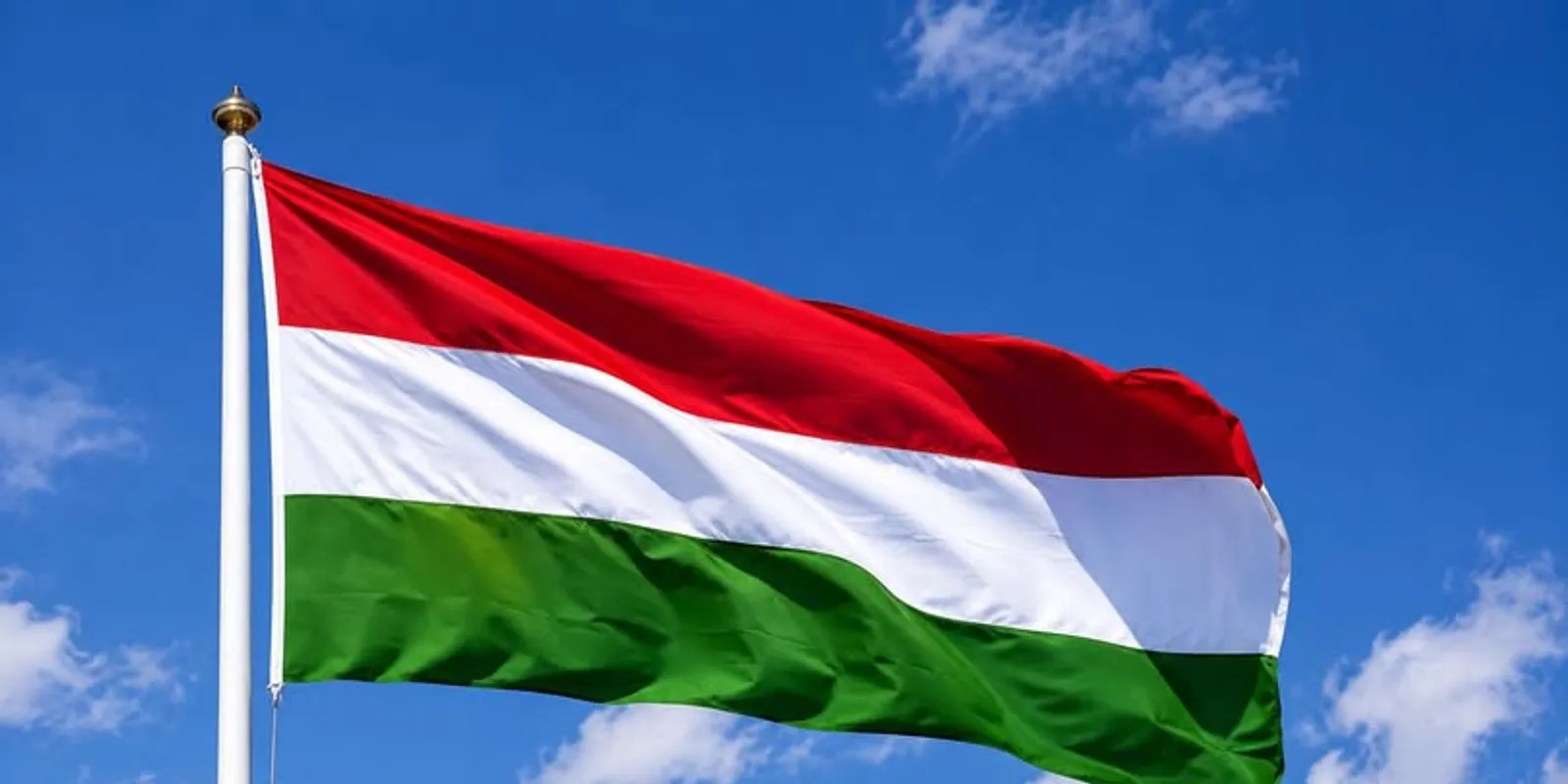 Miért égettek magyar zászlót Szabadkán?