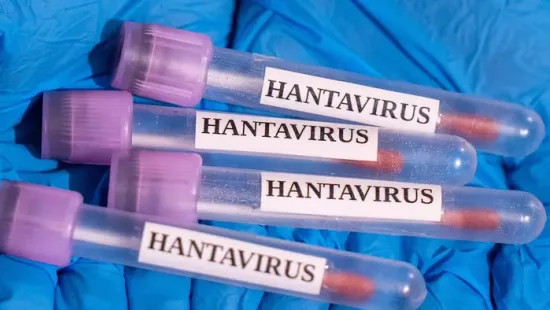 Ez a hantavírus 5 legfontosabb tünete: így ismered fel, ha valaki megfertőződött a munkahelyeden