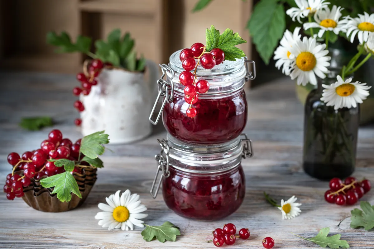 Villámgyors ribizlilekvár Red,Currant,Sauce,Or,Jam,In,Two,Glass,Jars,And