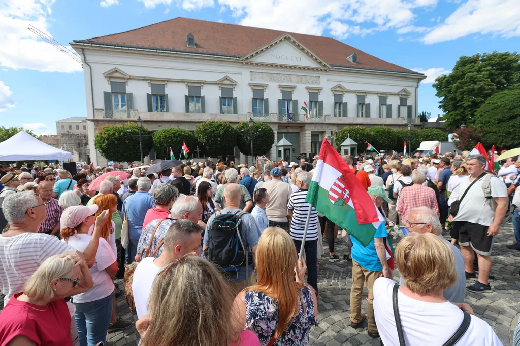 Szimpátiatüntetés az állami intézményvezetők mellett