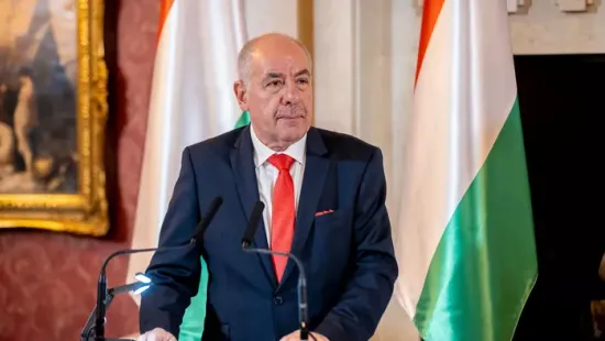 Tűpontos elemzések a Sulyok Tamás elleni hadjáratról