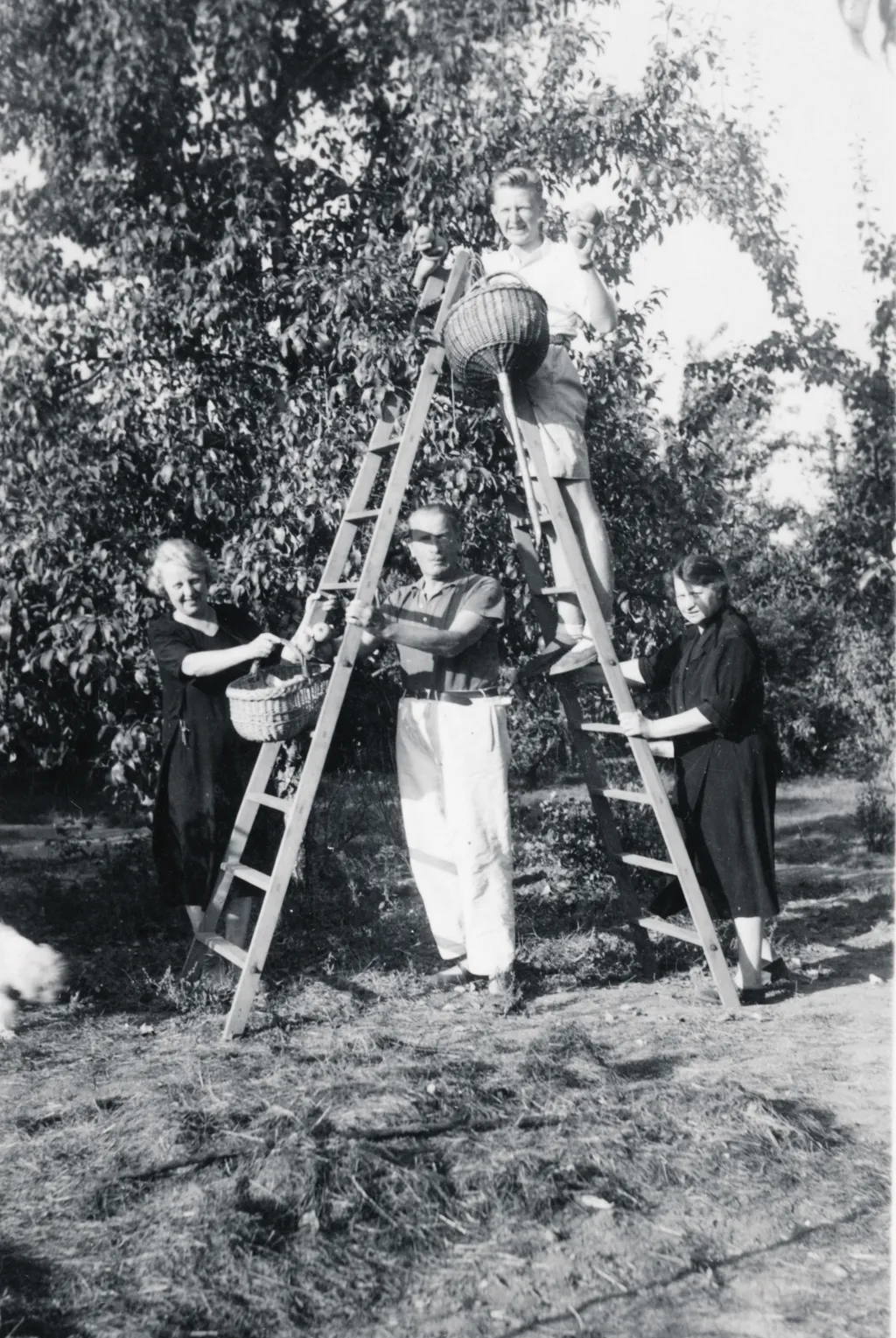 1942