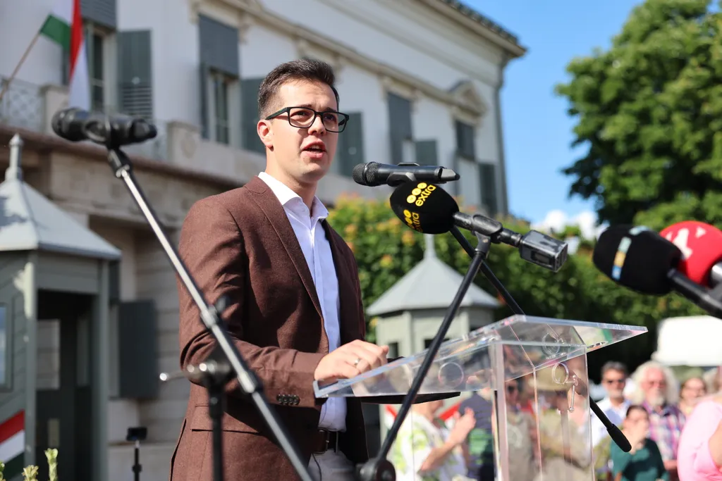  Szimpátiatüntetés az állami intézményvezetők mellett
