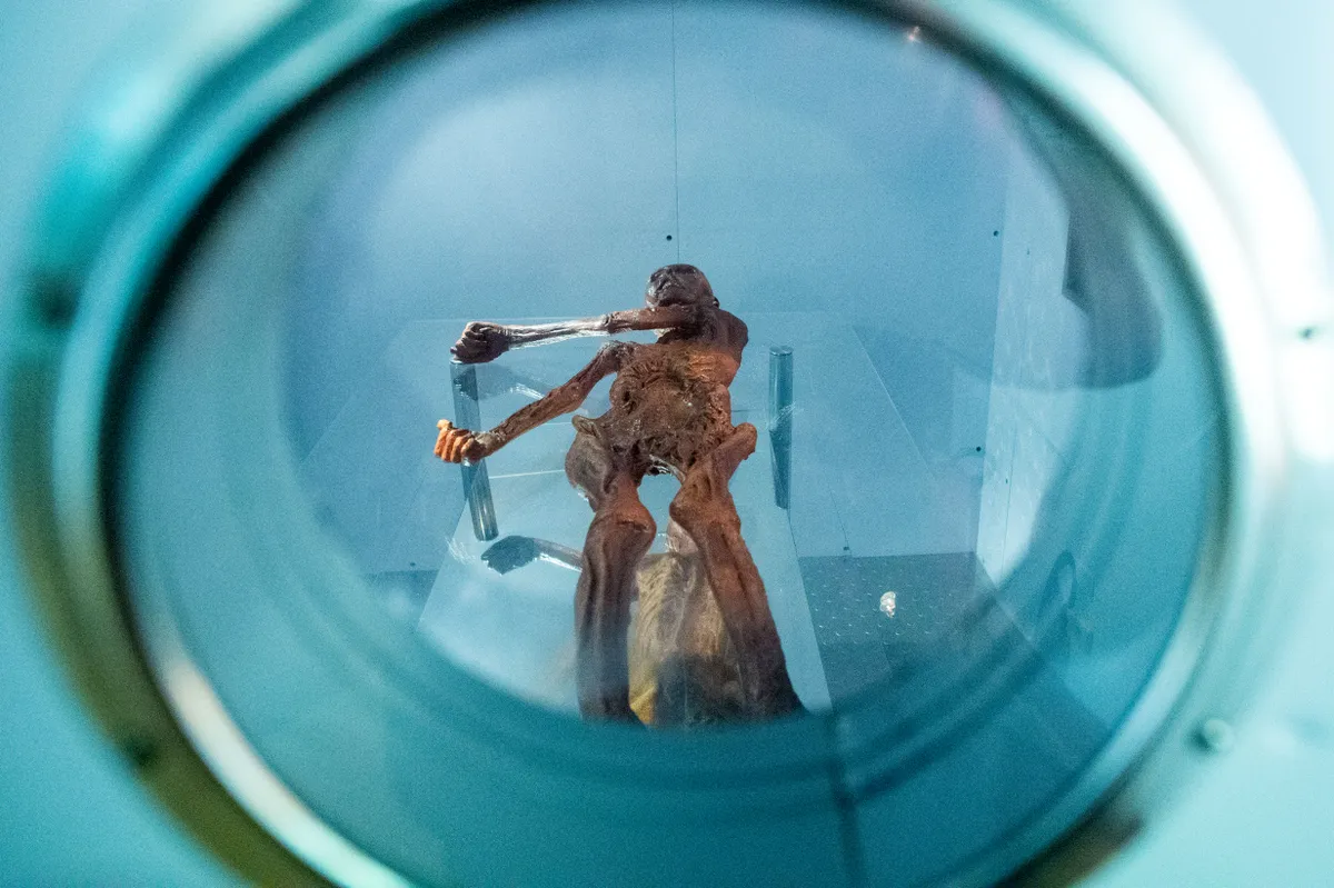 Coronavirus - Ötzi exhibition opens in Magdeburg