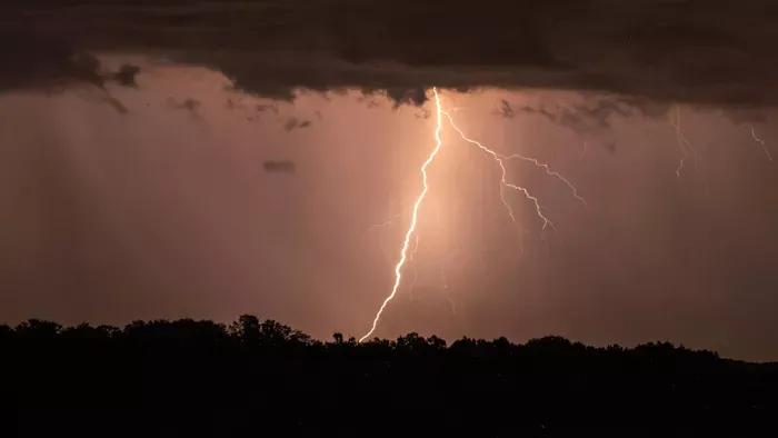 Dörgés elől a fa alá bújt, villámcsapás végzett vele