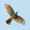 t.t.