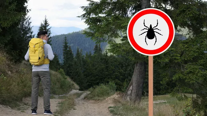 Kullancsok ellen bevált trükk: egyszerű, mégis hatásos