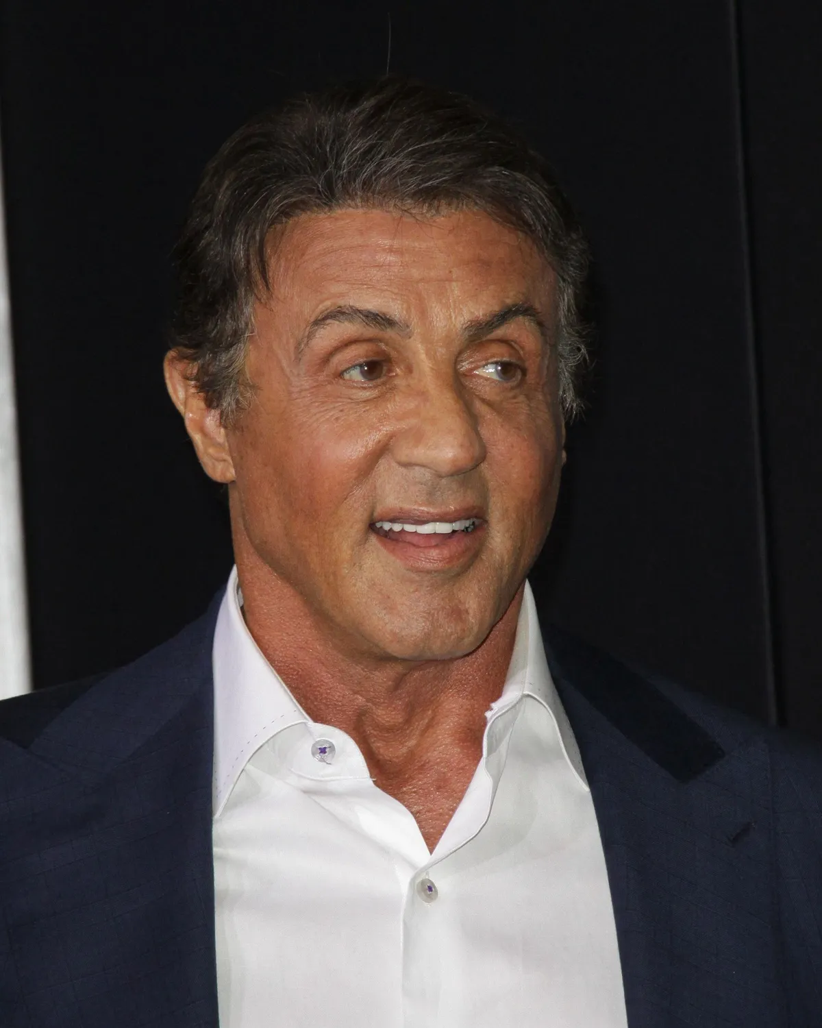 Sylvester Stallone